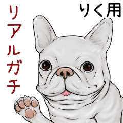 Riku Real Gachi Pug & Bulldog