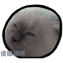 Eden Kitty daily 09.09