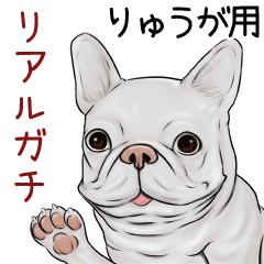 Ryuuga Real Gachi Pug & Bulldog