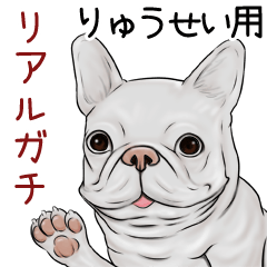 Ryuusei Real Gachi Pug & Bulldog