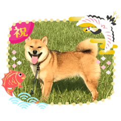 rinrin_10901212