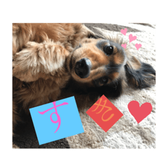 Koko Stickers Part 1.