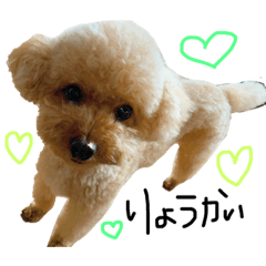 chihiro_20191112002815