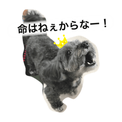 toko_20191112004925