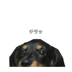 ayuu_20191112013420