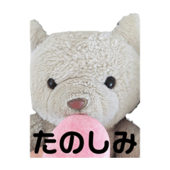ayano_20191112031645
