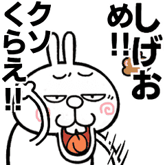 Angry name rabbitt[Shigeo]