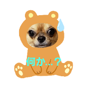 Morichan_20191112132942