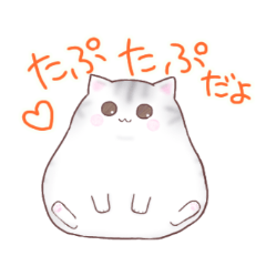 Chubby Silver Tabby Cat