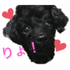 yasu_20191112145216