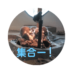 Natsuki_20191112171058