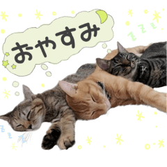 Naa&Okoge&Himari_stamps