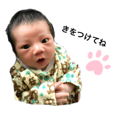 chihiro_20191112215849