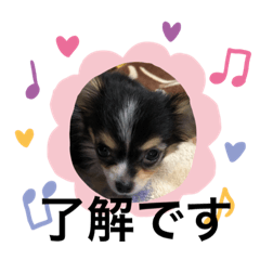 ahiru_20191112220104