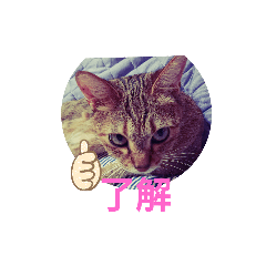 kuu_20191112231518