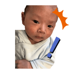 zu_20191112194532
