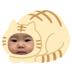 konatsu_20191113000129