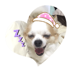 cute Reon