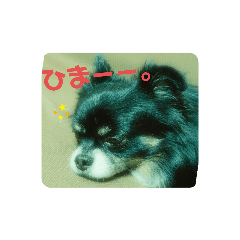 Touma_20191112205550