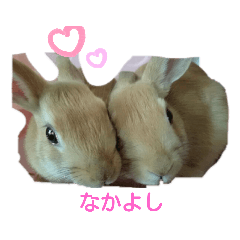 cocoa_20191113010300