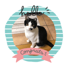 smile_20191113034919