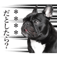 Frenchbulldog Coco Custom