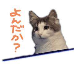 ちびデビル 文字入り Lineクリエイターズスタンプ Stamplist