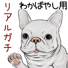 Wakabayashi Real Gachi Pug & Bulldog