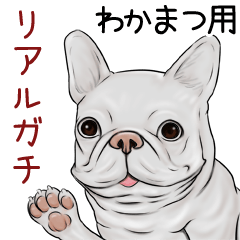 Wakamatsu Real Gachi Pug & Bulldog