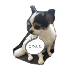 junko_20191113134209