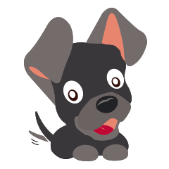 辣妹犬的日常