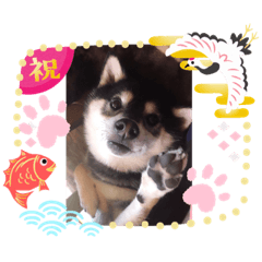 saori_20191113130946