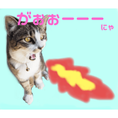 chisa_20191113132151