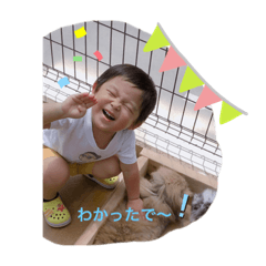 maya10