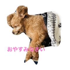 arisa_20191113162349