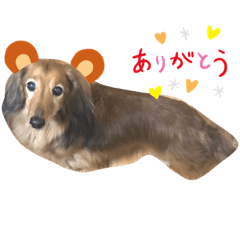 asuka_20191113173551