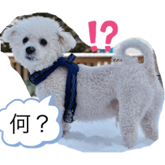 Yuichi_20191113222752