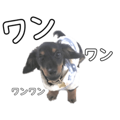 ayuu_20191113232924