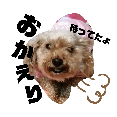 miyoko_20191113225806