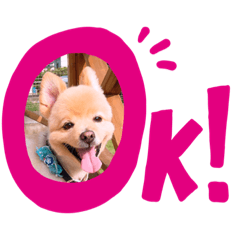 ayumi_20191113232206