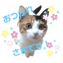 ayumi_20191114003002