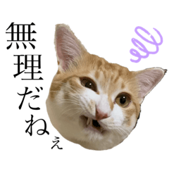 HanChikuKon