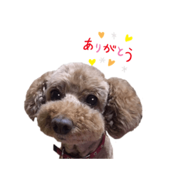 mizuki_2019111412054p