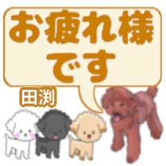 Tabuchi's. letters toy poodle
