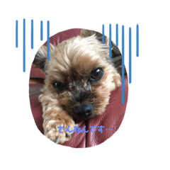 Sally_20191114083142