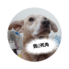 lm妞妞
