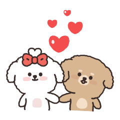 Lovely Poodle Couple