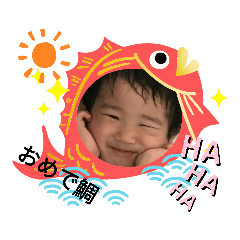 papa_20191114204945