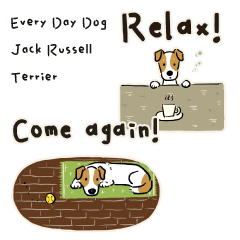 Every Day Dog Jack Russell Terrier Eng2