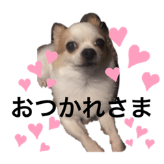 cute Reon 3